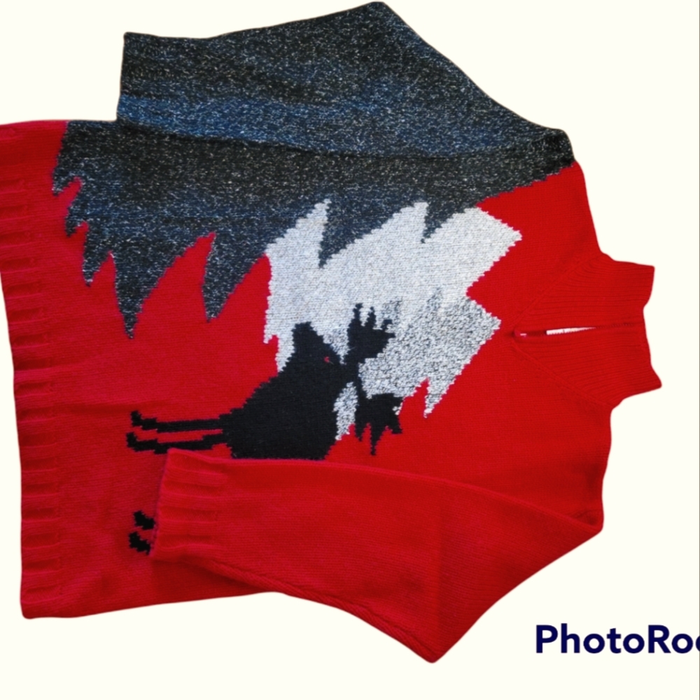 Susan Bristol sweater